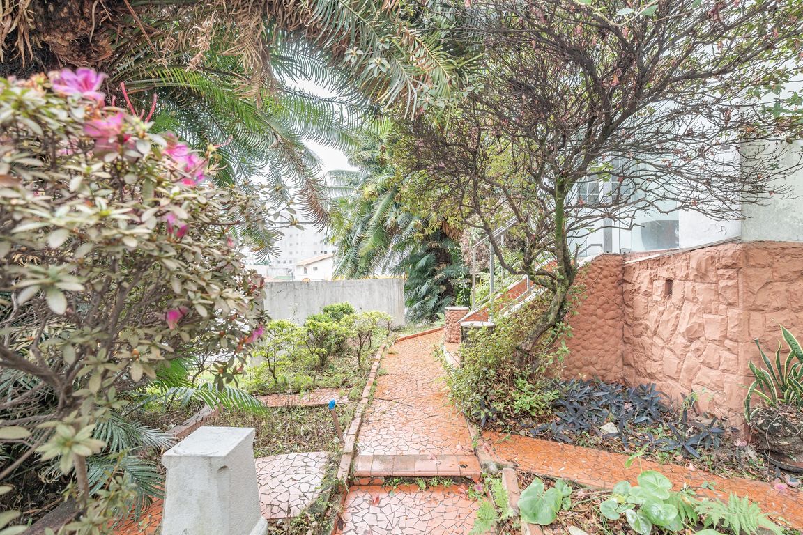 Jardim
