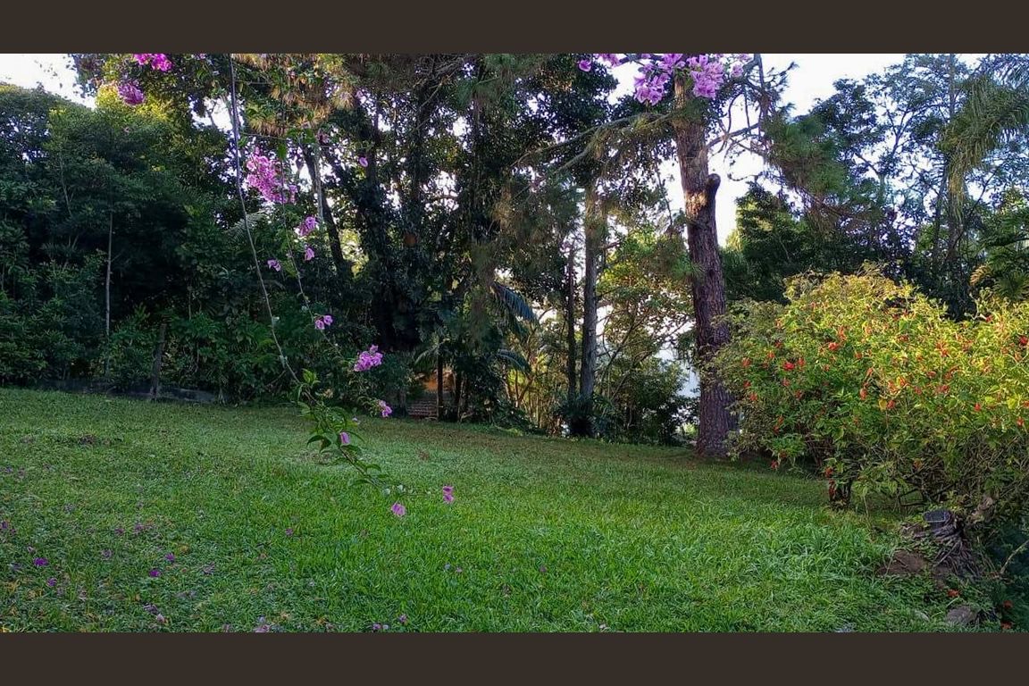 Jardim